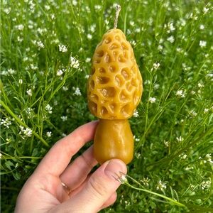 Homemade All-Natural Toxic Free 100% Beeswax Mushroom "Morel" Candle